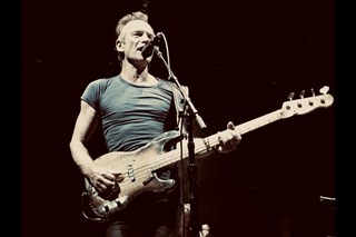 sting